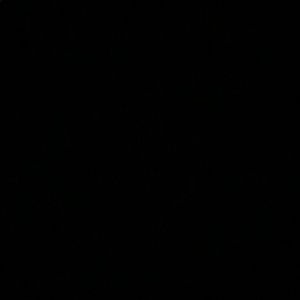 Meet your Posher, Liz